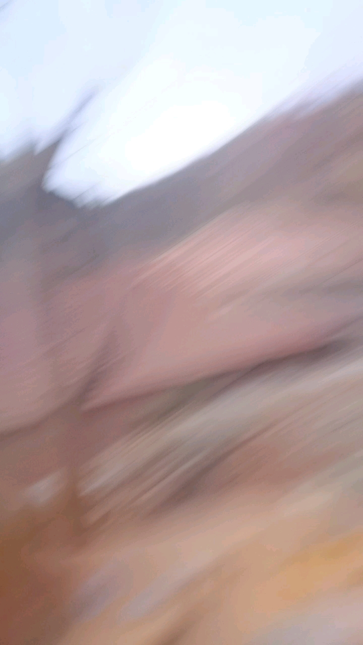 冬天里的一把着