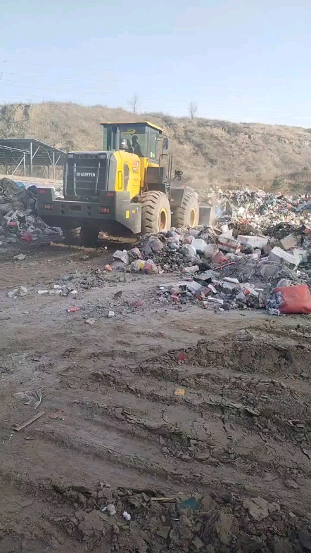 發(fā)布了一條動態(tài)-帖子圖片