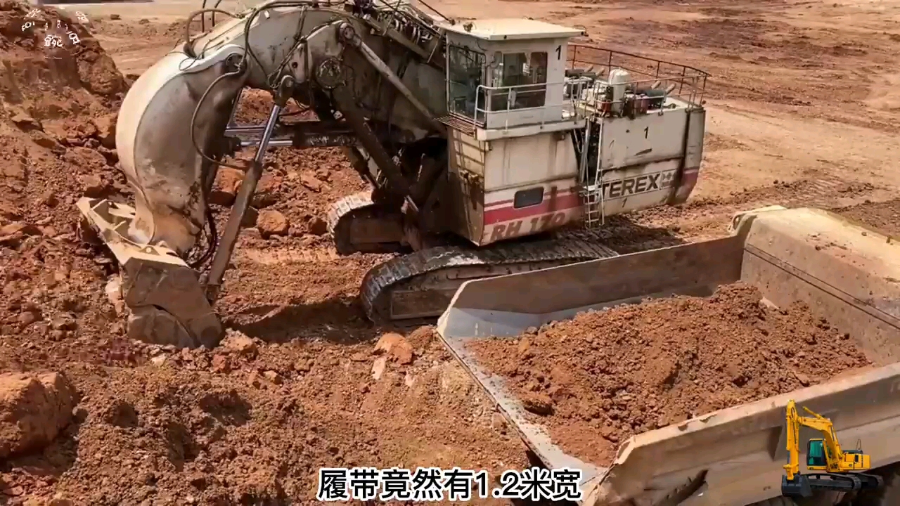 大显身手
