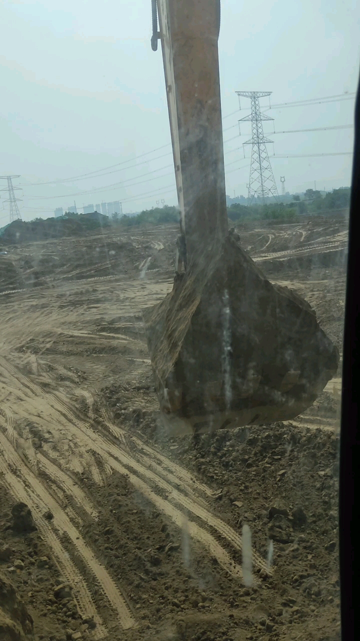 秋后这老虎🐯还真的恶呀