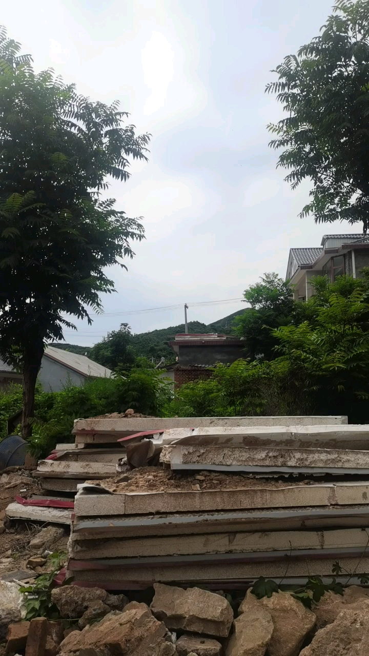 大姑娘上花轿