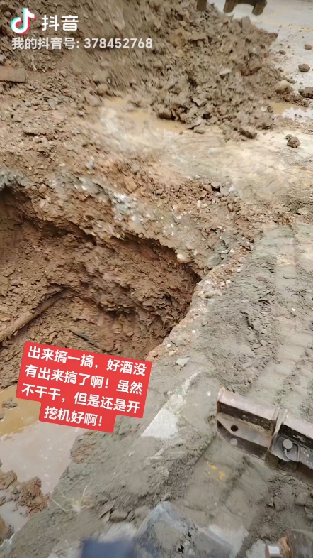 发布了一条动态
