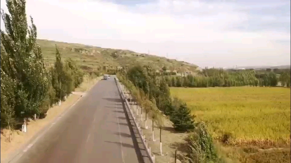 发布了一条动态