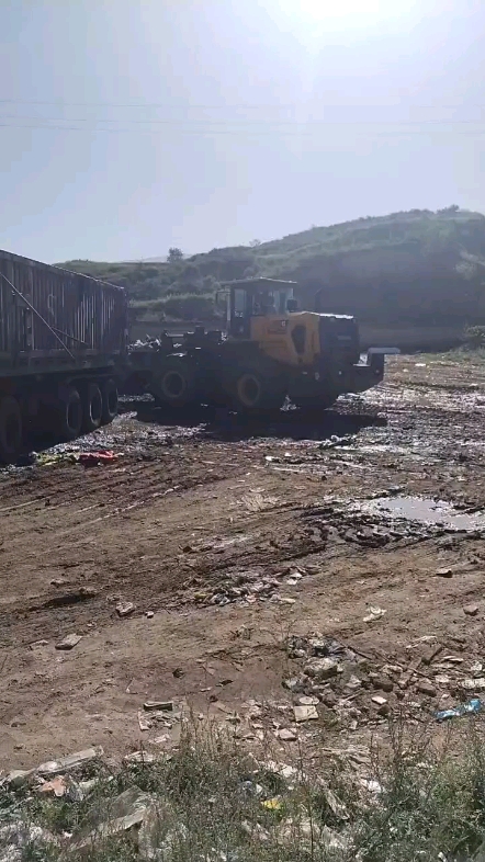 发布了一条动态