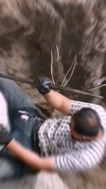 劳动者是最美的