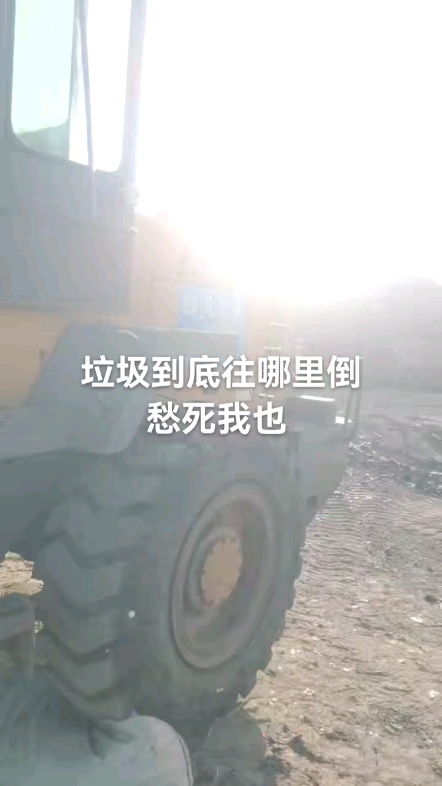 发布了一条动态