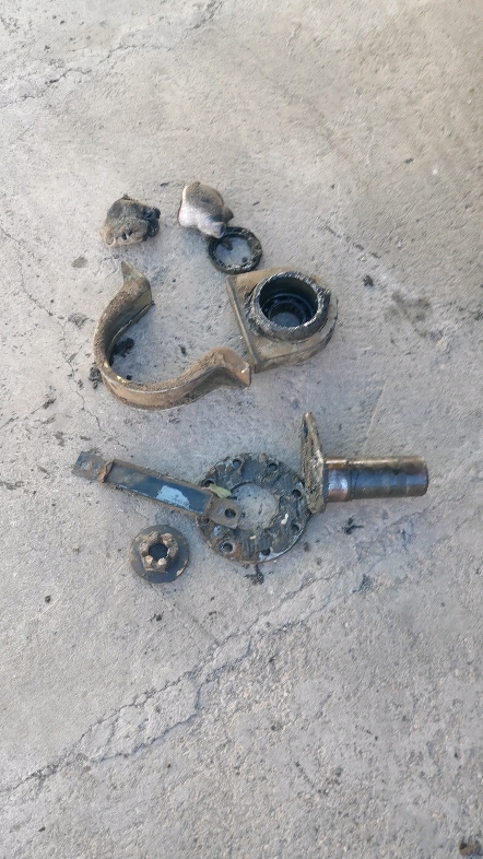 發布了一條動態-帖子圖片