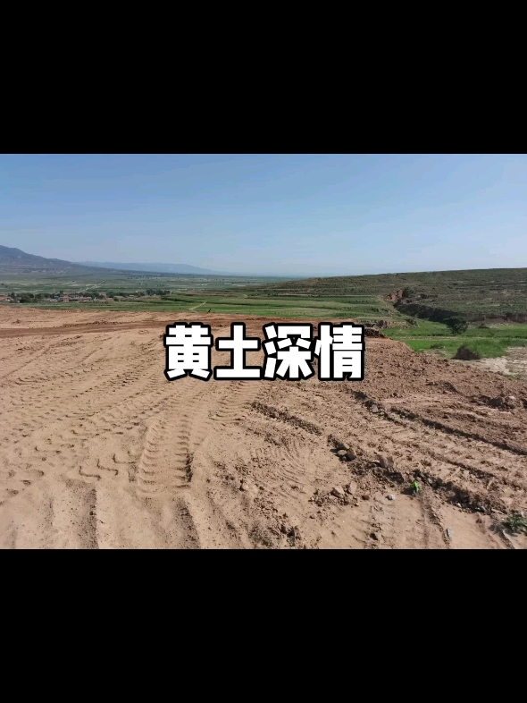 土生土长