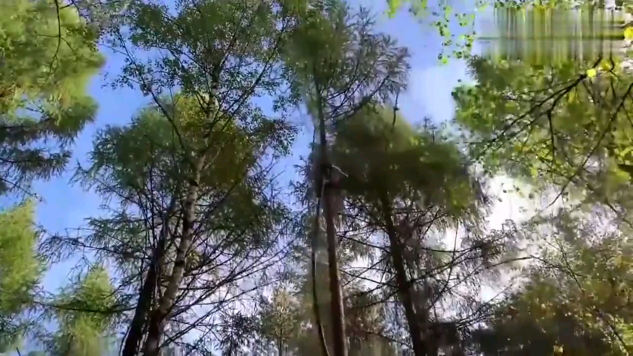 孤陋寡闻