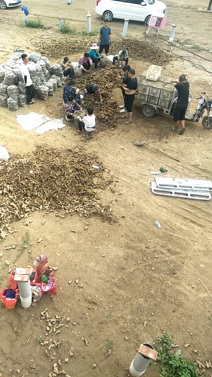 这几天雨多干点小活儿
