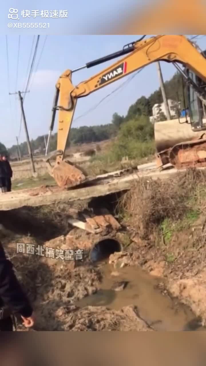 每日發(fā)帖