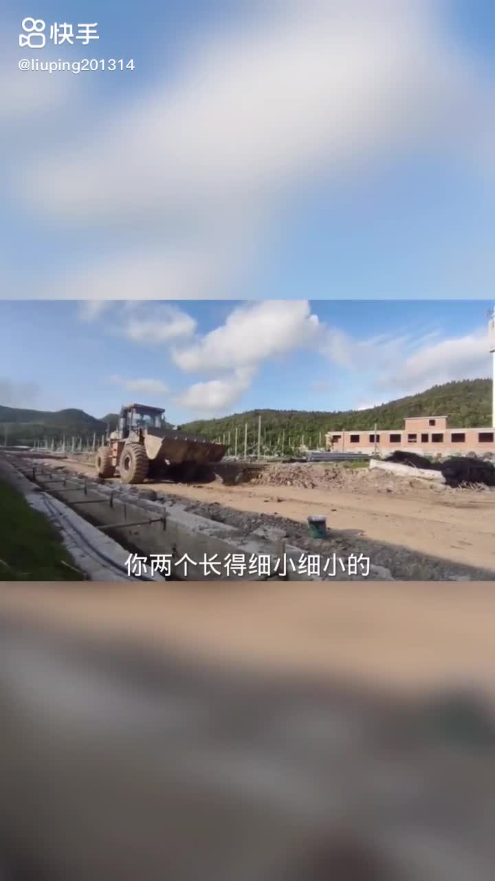 每日發(fā)帖