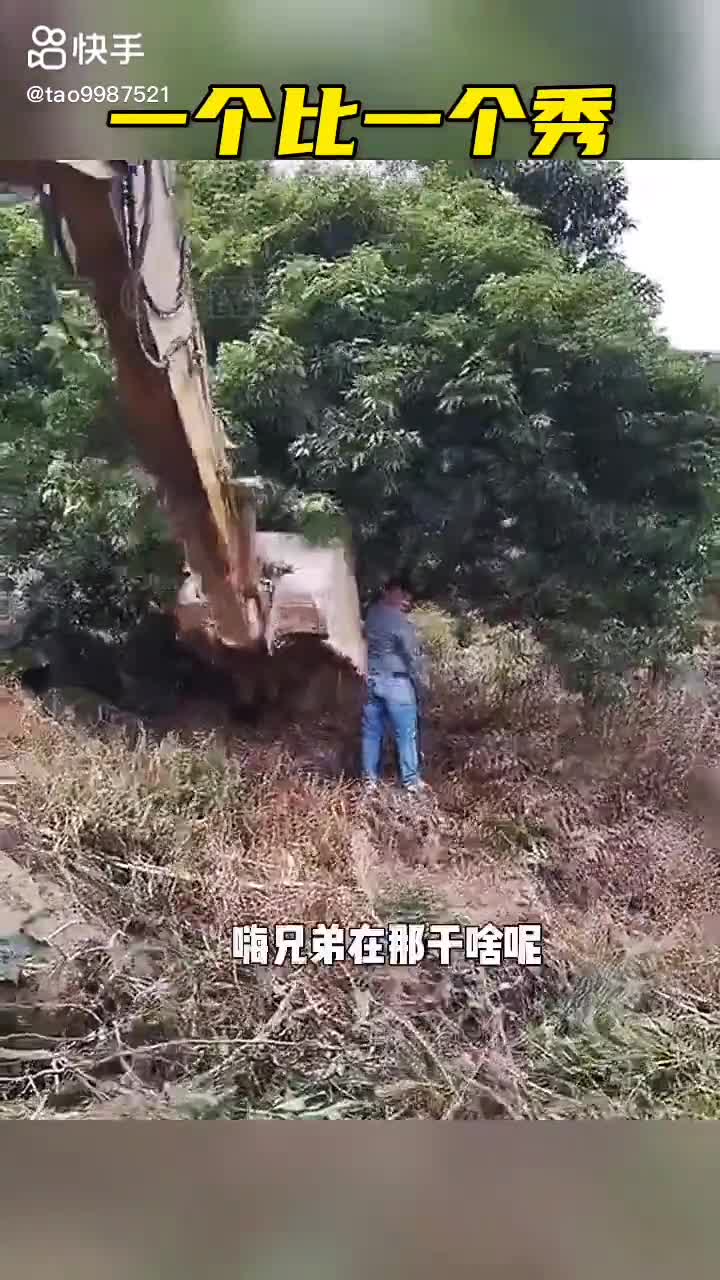 每日發(fā)帖