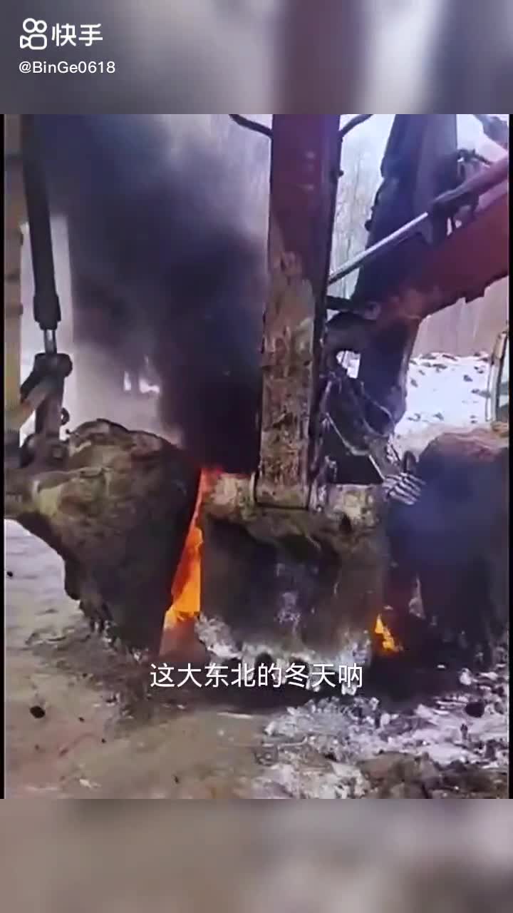 每日發(fā)帖