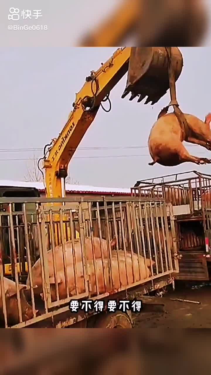 每日發(fā)帖