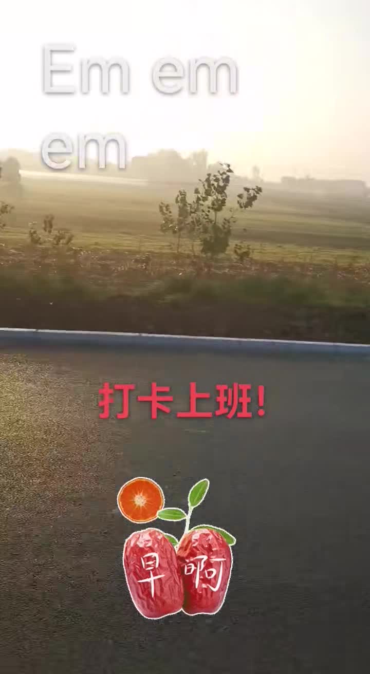 搬磚了