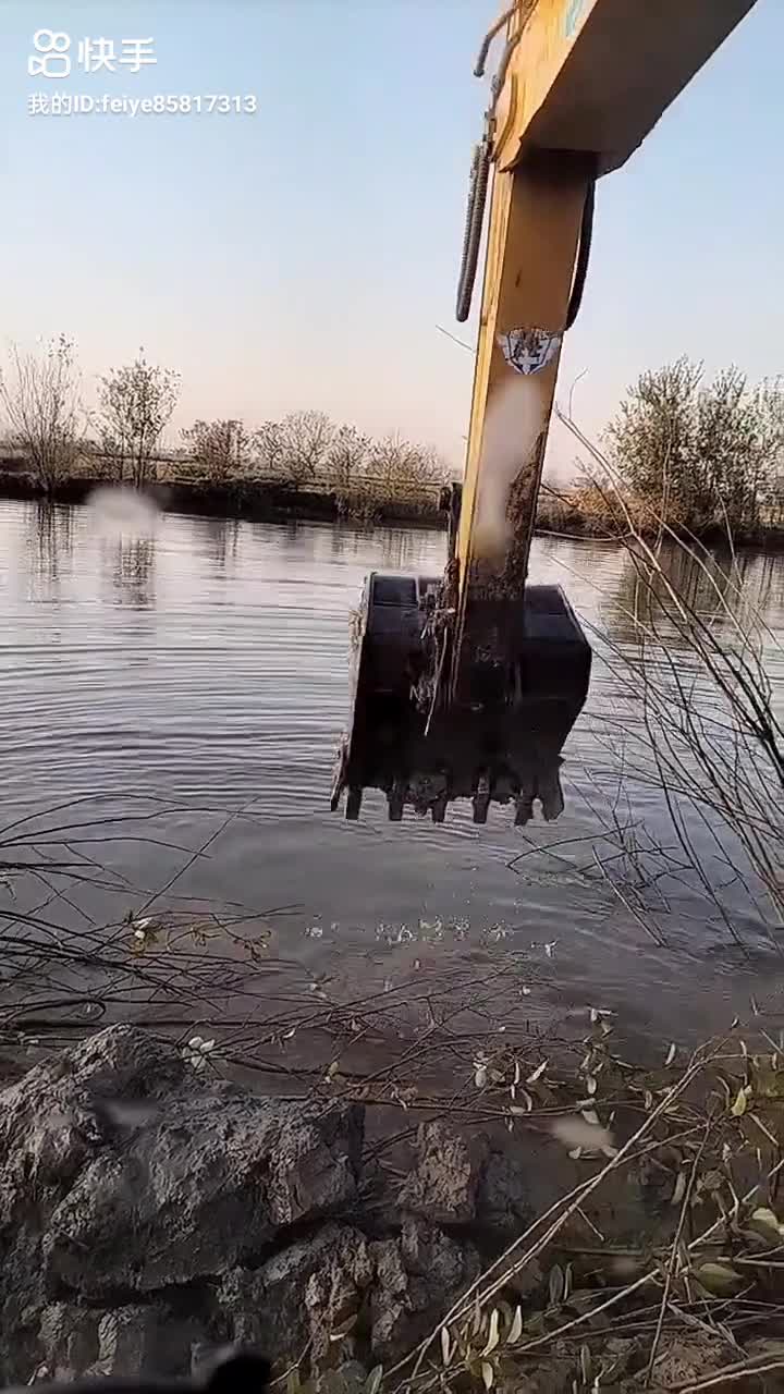 好多魚