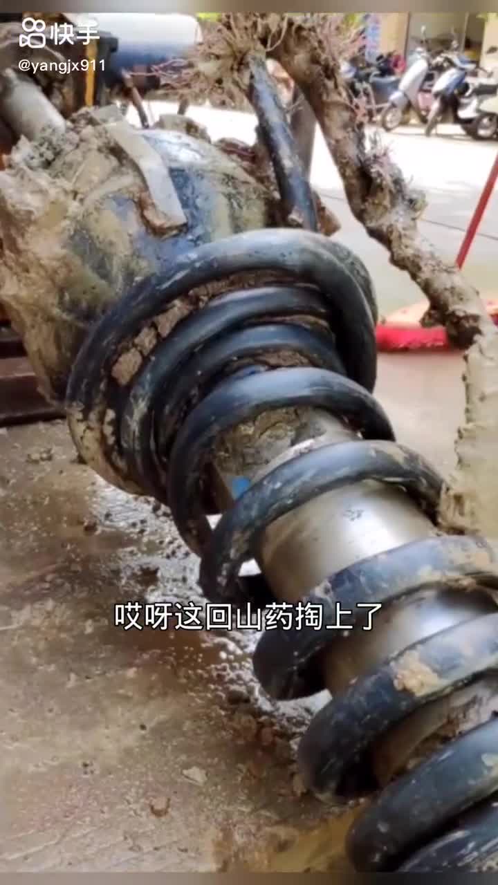 每日發(fā)帖