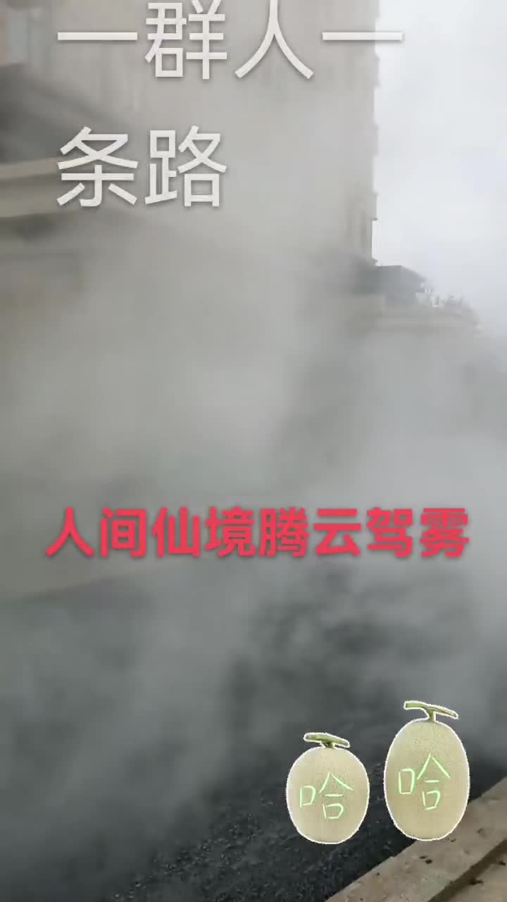 攤捕中，就像開鍋了