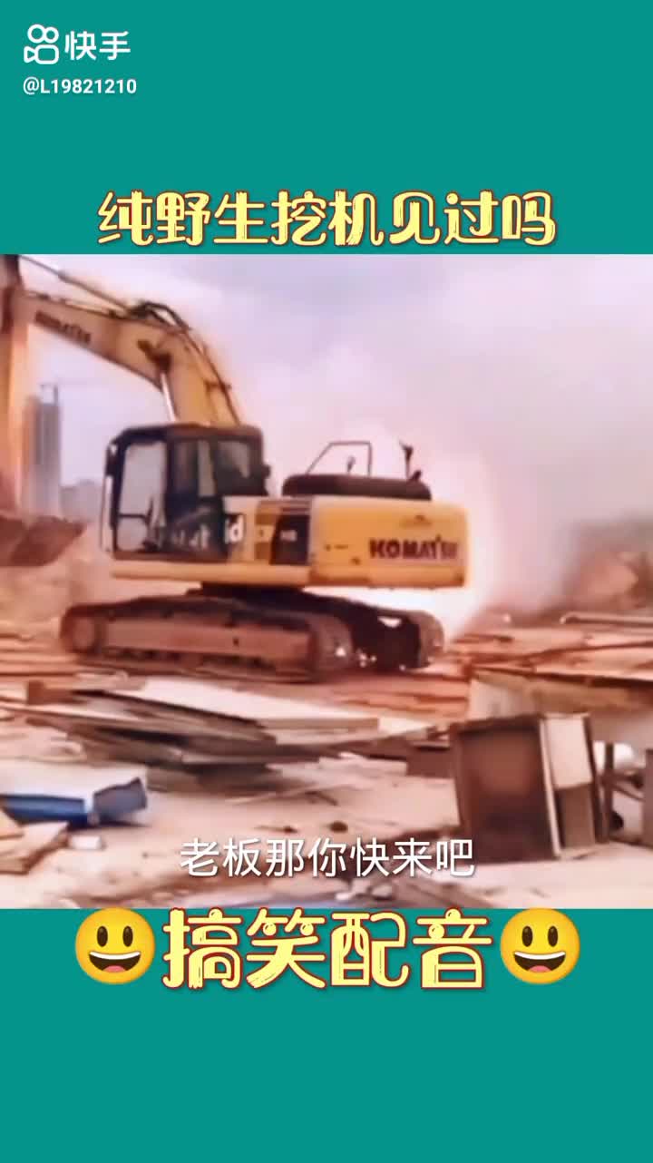 每日發(fā)帖
