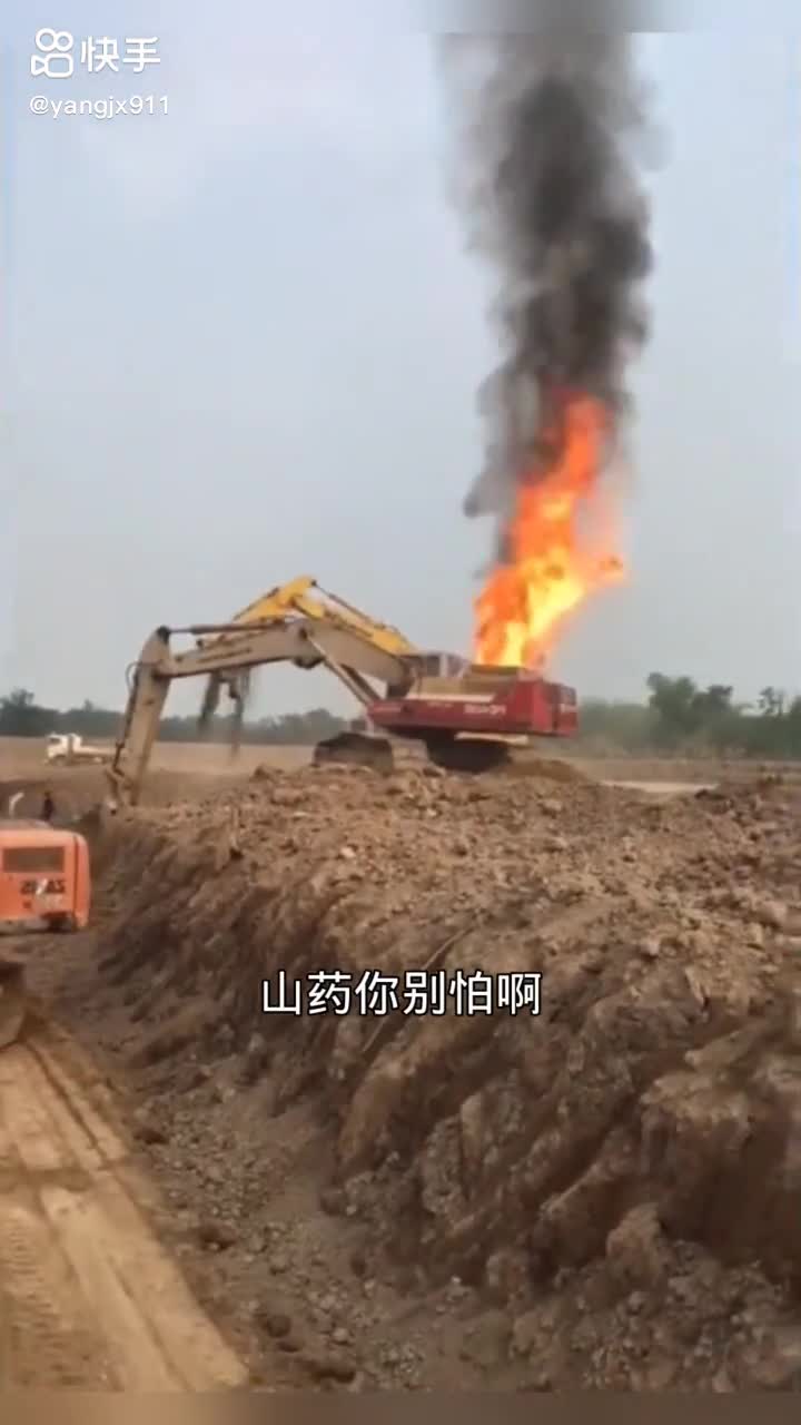 每日發(fā)帖