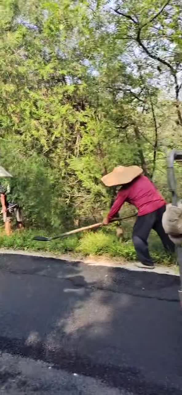 園區(qū)道路