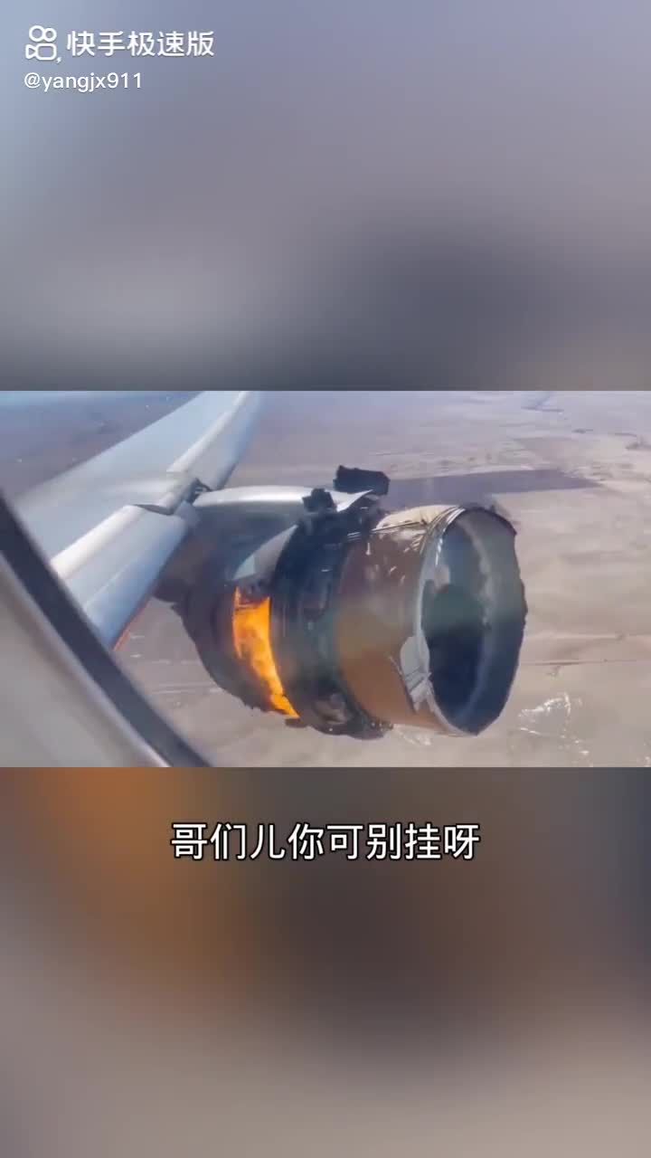每日發(fā)帖