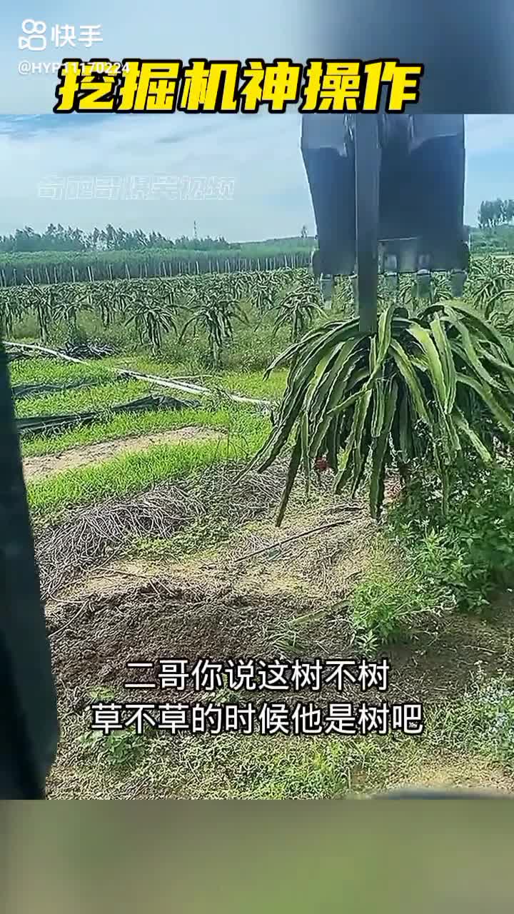 每日發(fā)帖