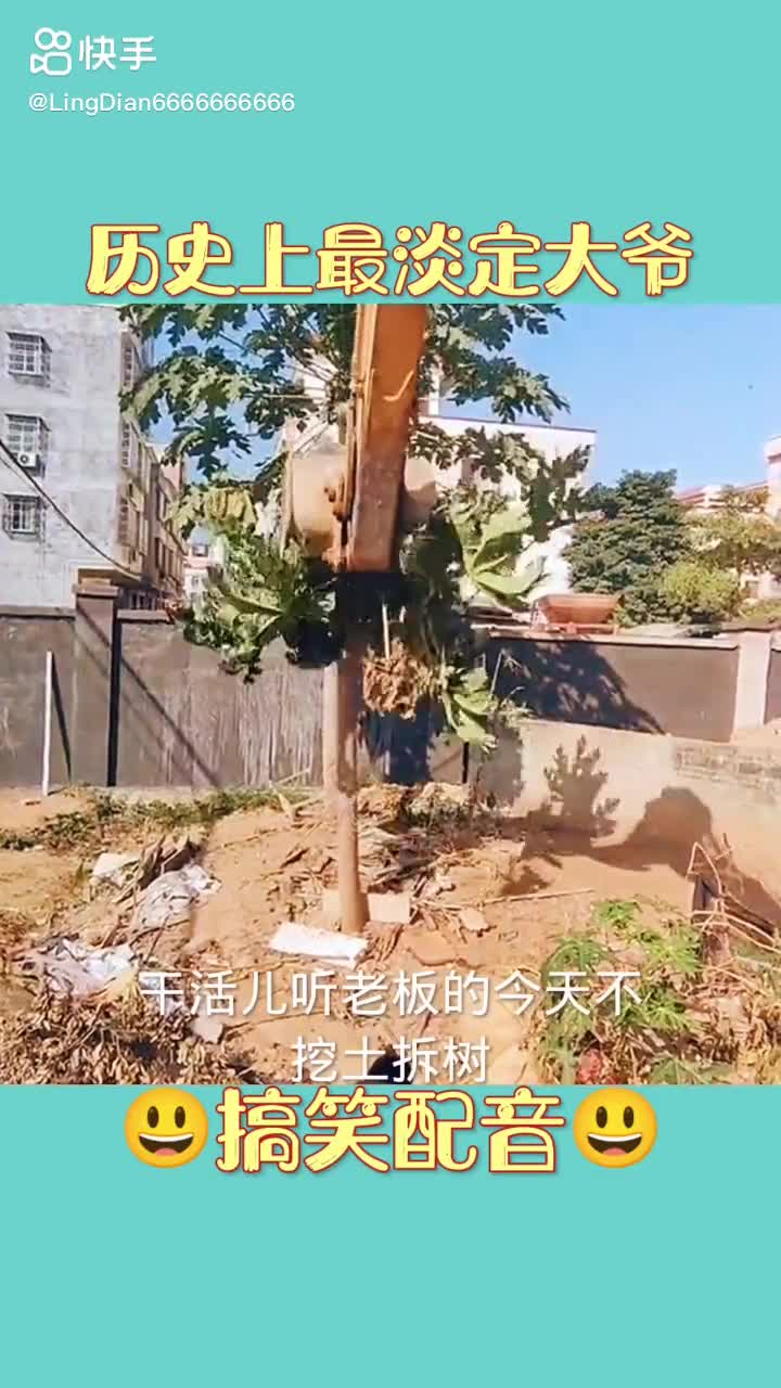 每日發(fā)帖