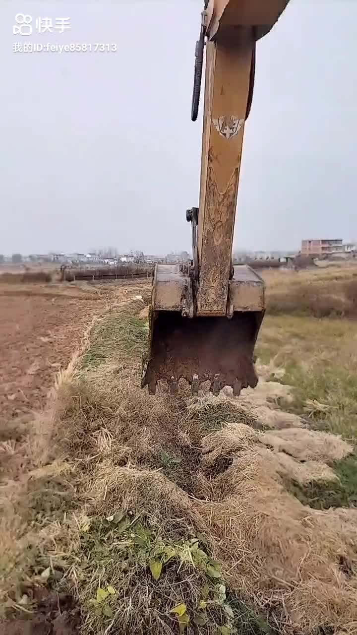 圖的就一痛快