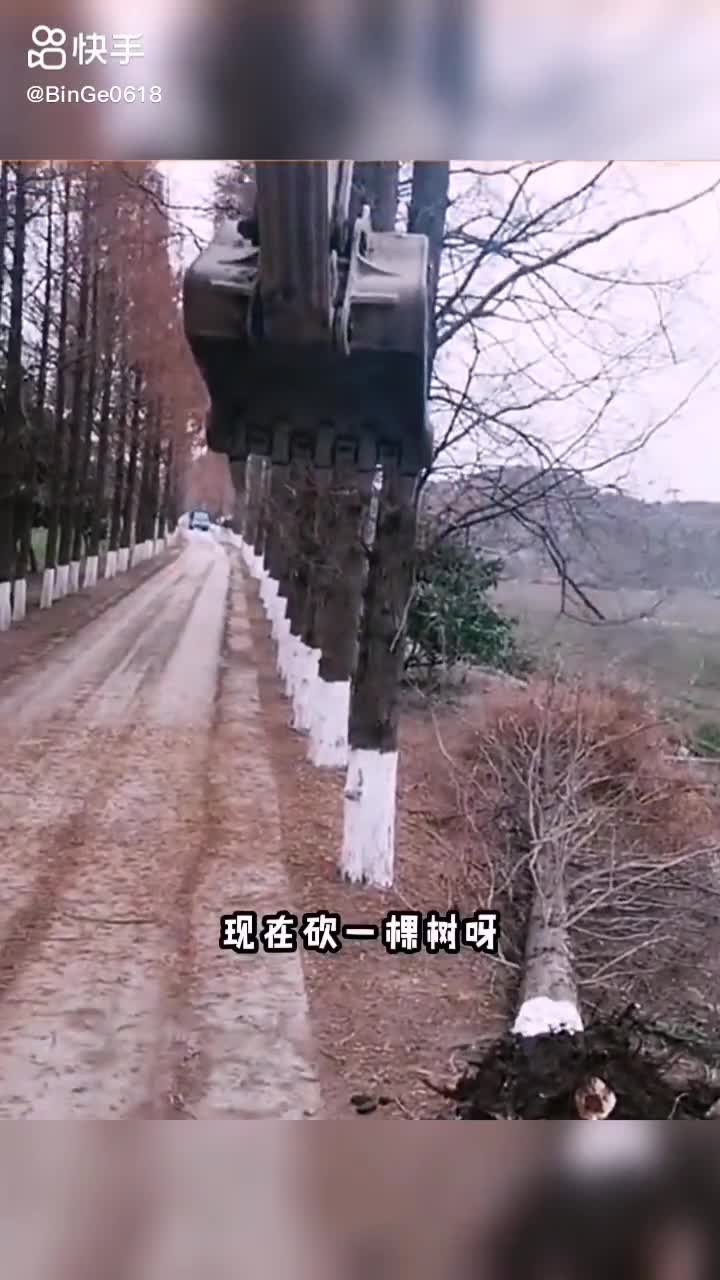 每日發(fā)帖