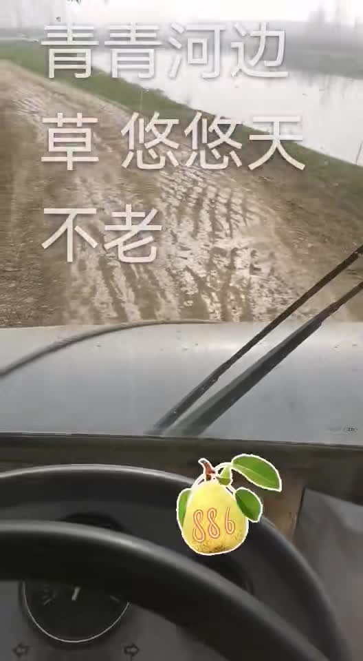 濱河大道