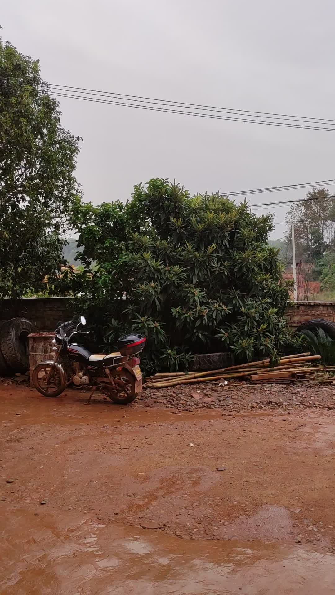 下雨了，又不用上班