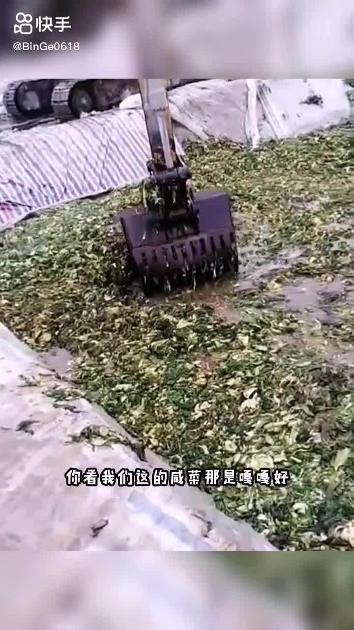每日發(fā)帖