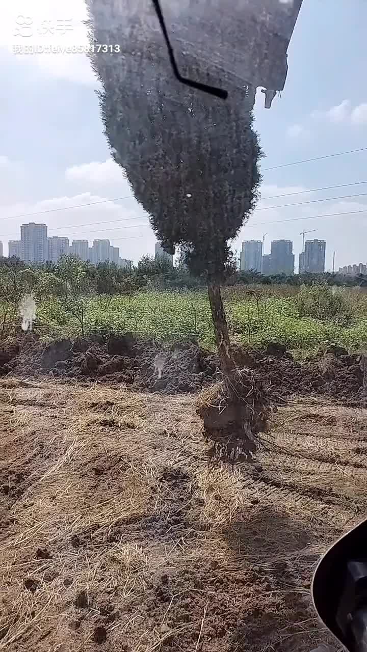 富 婆一怒為紅顏