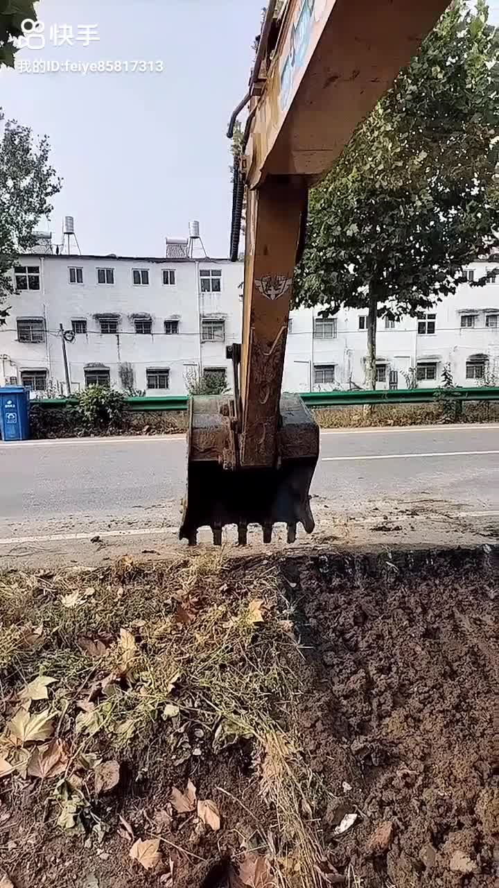 歲月茫然，我還敢說幾回，我依然愛你