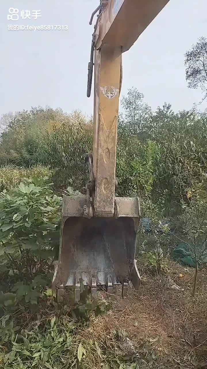 人間皆是溫暖