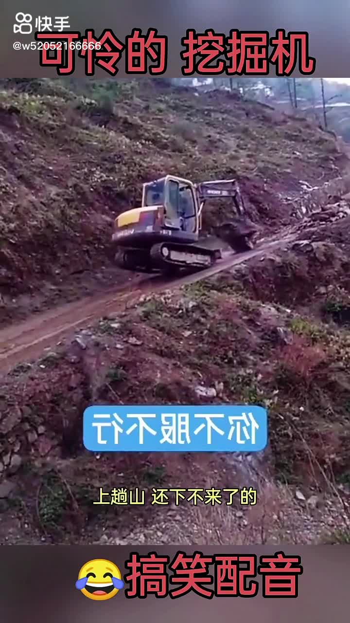 每日發(fā)帖