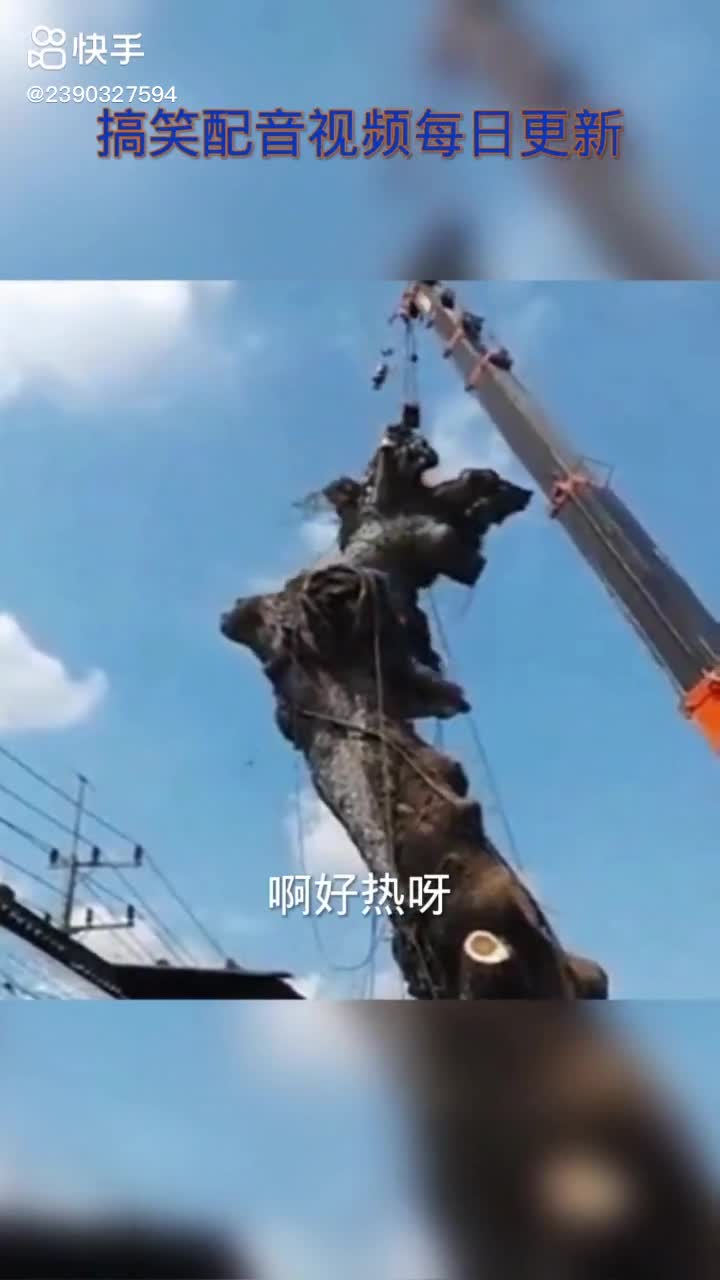 每日發(fā)帖